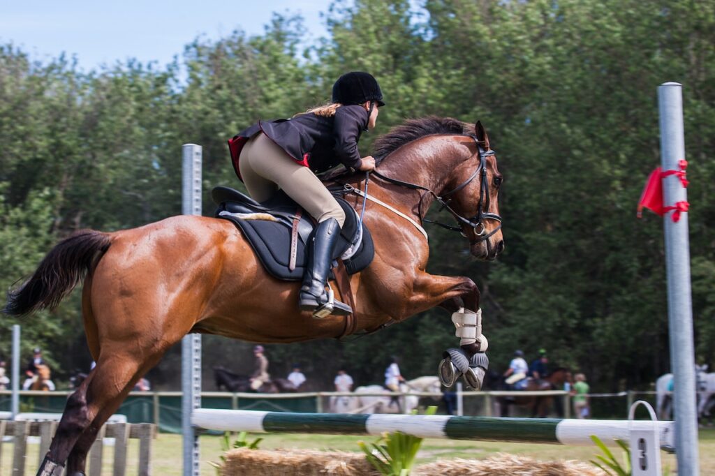 Sparta Horse Riding Club